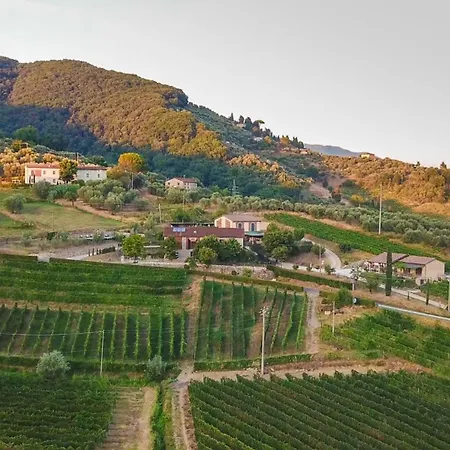Villa Valle Del Sole Winery With Private Pool