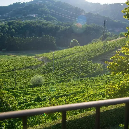 Villa Valle Del Sole Winery With Private Pool Lucca