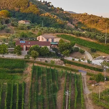 Villa Valle Del Sole Winery With Private Pool *