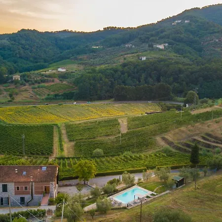 Valle Del Sole Winery With Private Pool Villa Lucca
