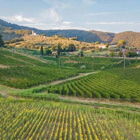 Villa Valle Del Sole Winery With Private Pool *