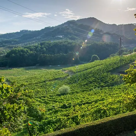 Villa Valle Del Sole Winery With Private Pool
