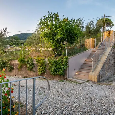 Villa Valle Del Sole Winery With Private Pool Lucca