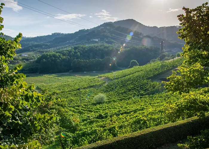빌라 Valle Del Sole Winery With Private Pool